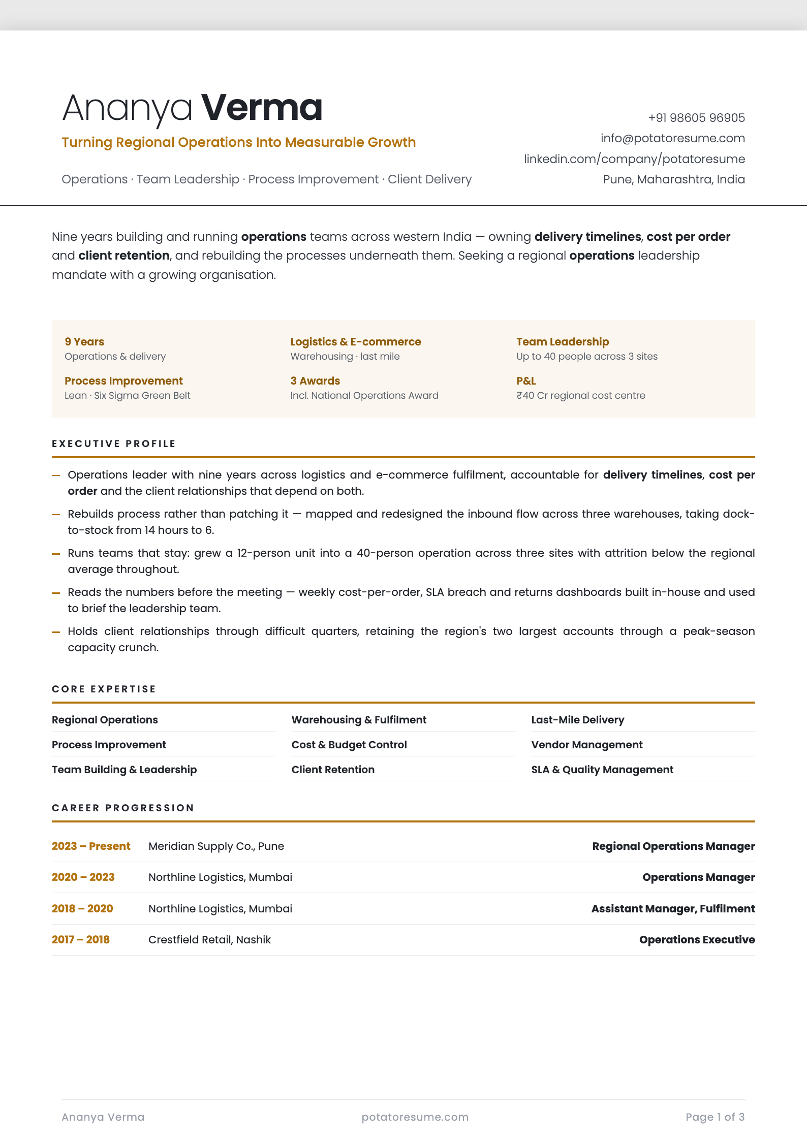 Amber Ledger resume template — page one preview