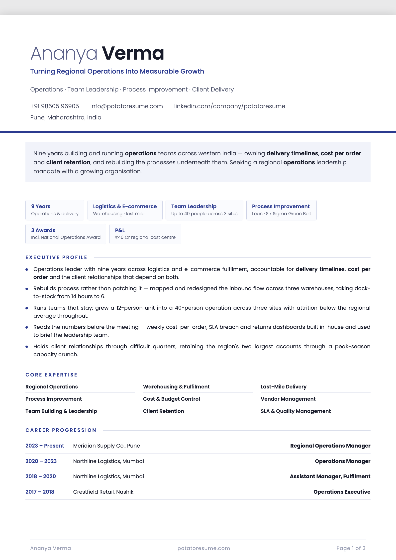 Indigo Chip resume template — page one preview