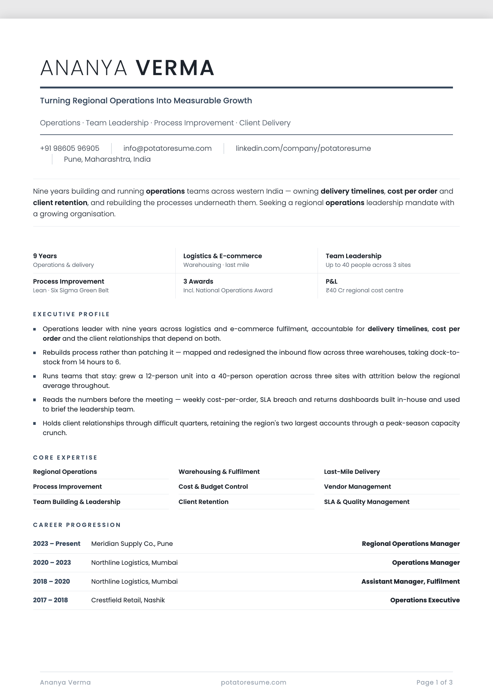 Steel Brief resume template — page one preview
