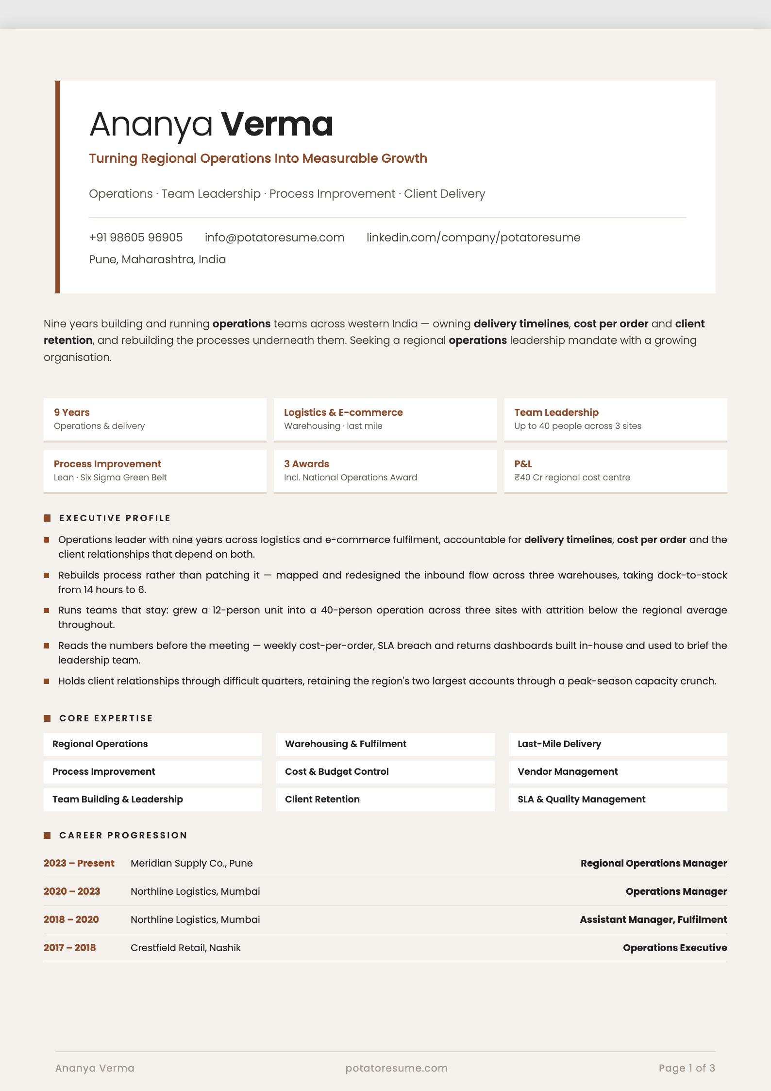 Stone Panel resume template — page one preview